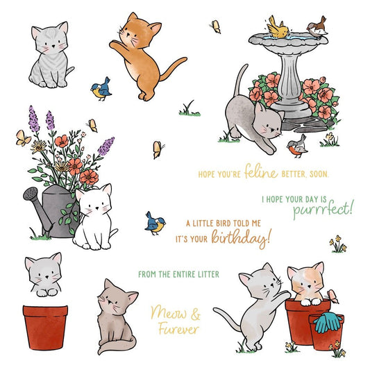 Meow & Furever - 6x8 Photopolymer Stamp Set - Honey Bee Stamps