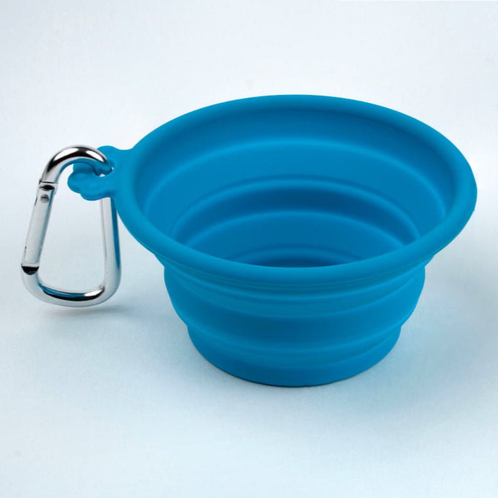 Mini Collapsible Silicone Water Bowl 250ml by SilverBrush - Teal - Honey Bee Stamps
