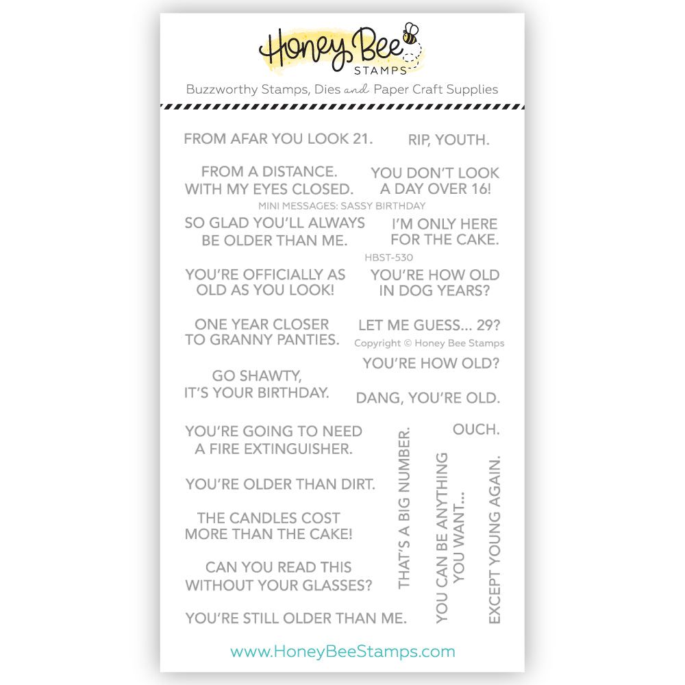Mini Messages: Sassy Birthday - 4x6 Photopolymer Stamp Set - Honey Bee Stamps