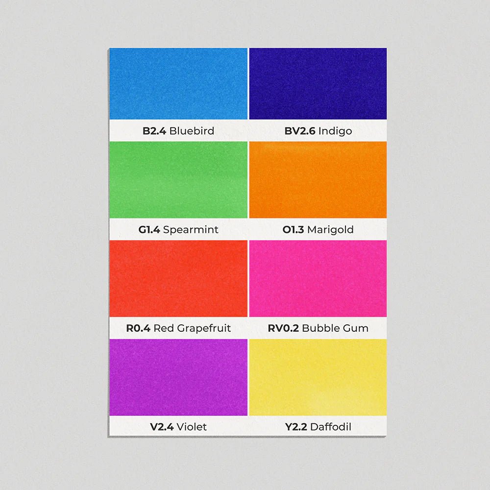 OLO 8 Color Brush Basic Set - Honey Bee Stamps