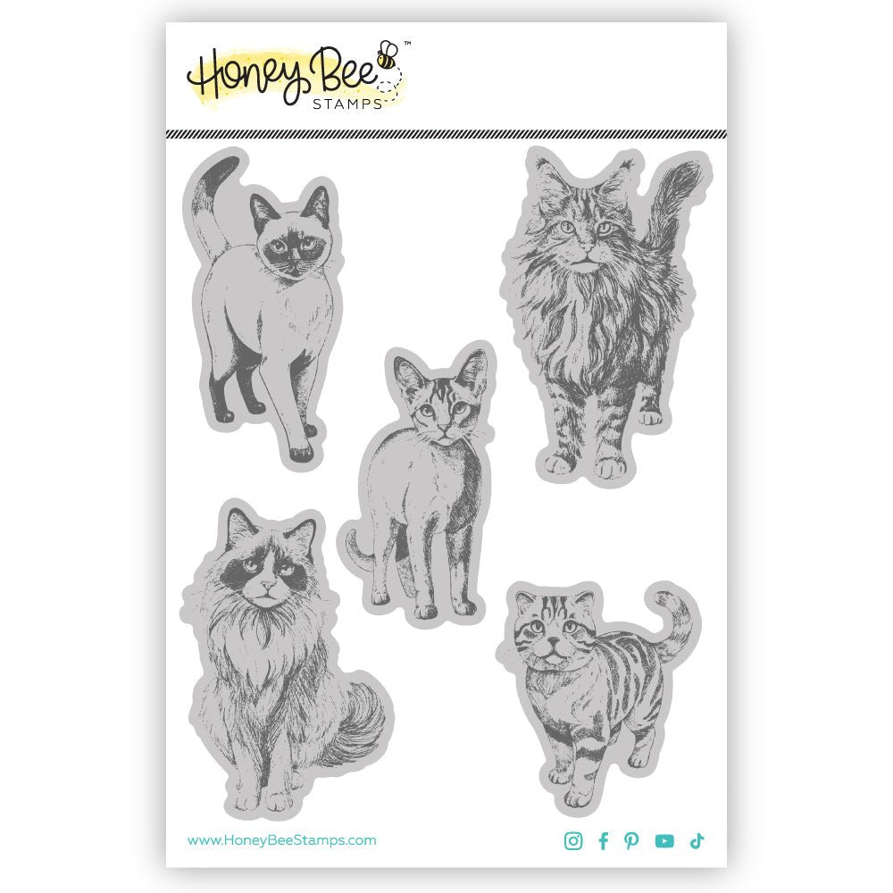 Paws & Purrs - 4x5 Rubber Cling Stamp Set - Honey Bee Stamps