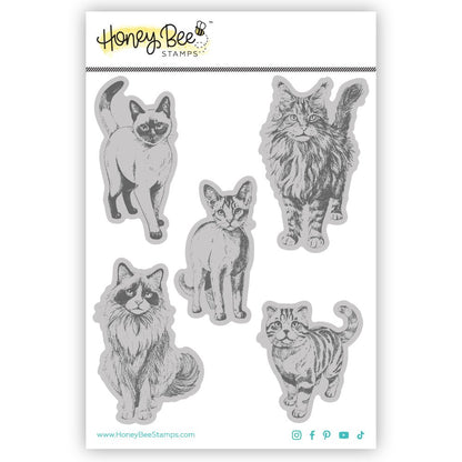 Paws & Purrs - 4x5 Rubber Cling Stamp Set - Honey Bee Stamps