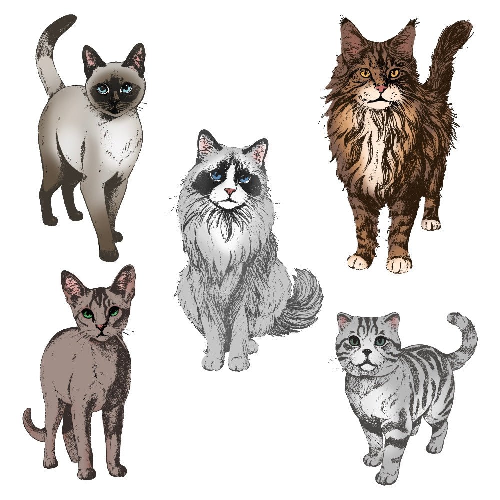 Paws & Purrs - 4x5 Rubber Cling Stamp Set - Honey Bee Stamps