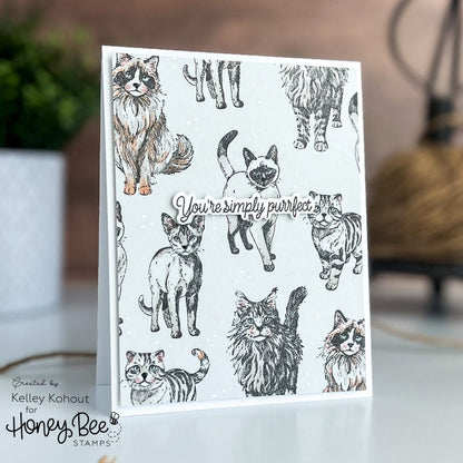 Paws & Purrs - Honey Cuts - Coordinating Dies - Honey Bee Stamps