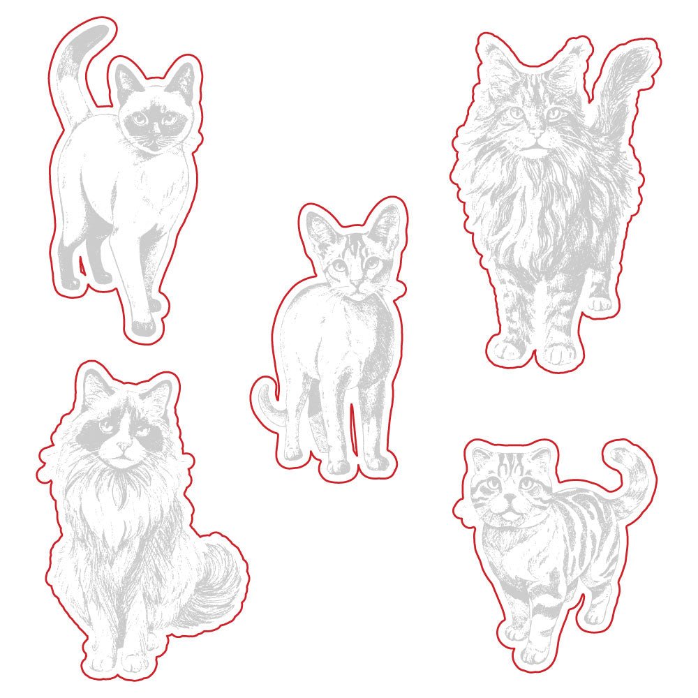 Paws & Purrs - Honey Cuts - Coordinating Dies - Honey Bee Stamps