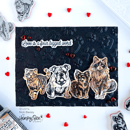 Paws & Purrs - Honey Cuts - Coordinating Dies - Honey Bee Stamps