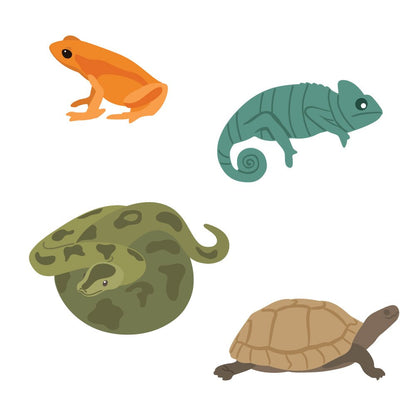 Pet - Tastic Release - Tank Bundle - Honey Bee Stamps