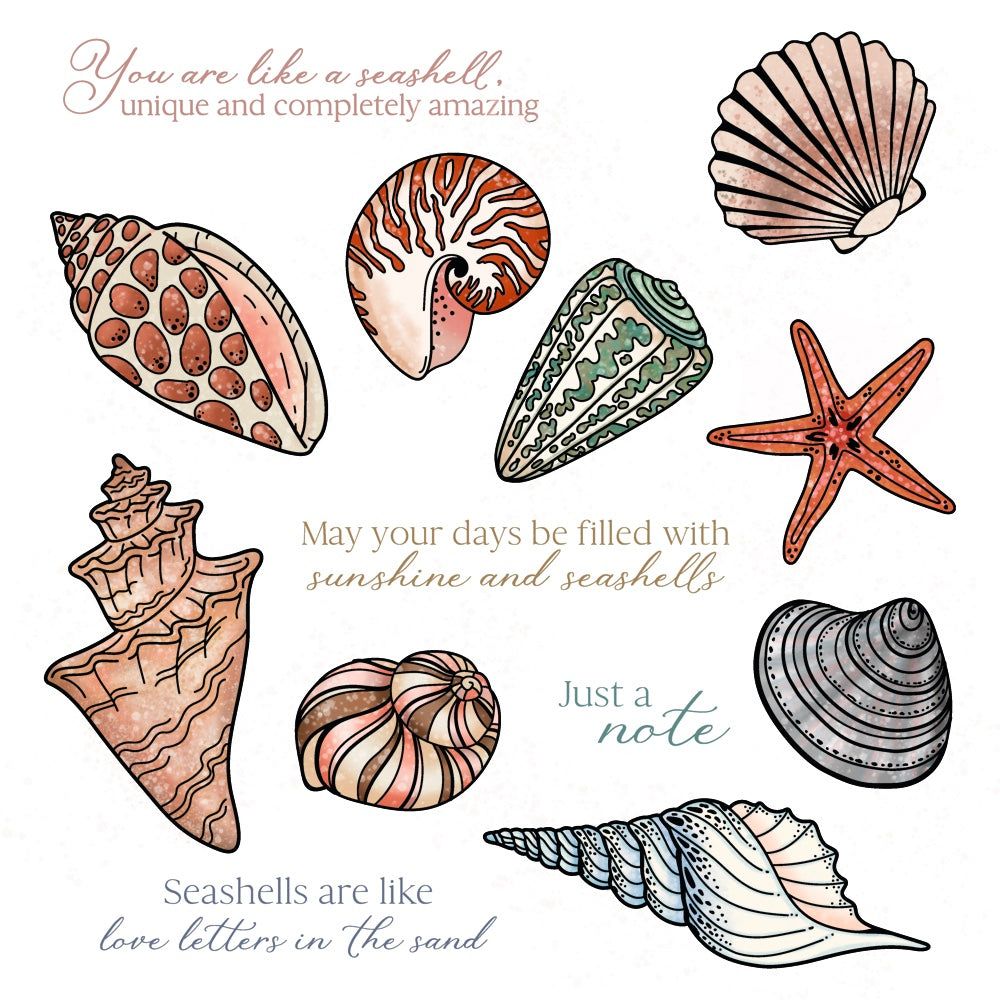 Seashells - 6x8 Photopolymer Stamp Set - Honey Bee Stamps
