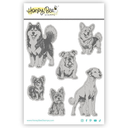 Tail Waggers - 5x6 Rubber Cling Stamp Set - Honey Bee Stamps
