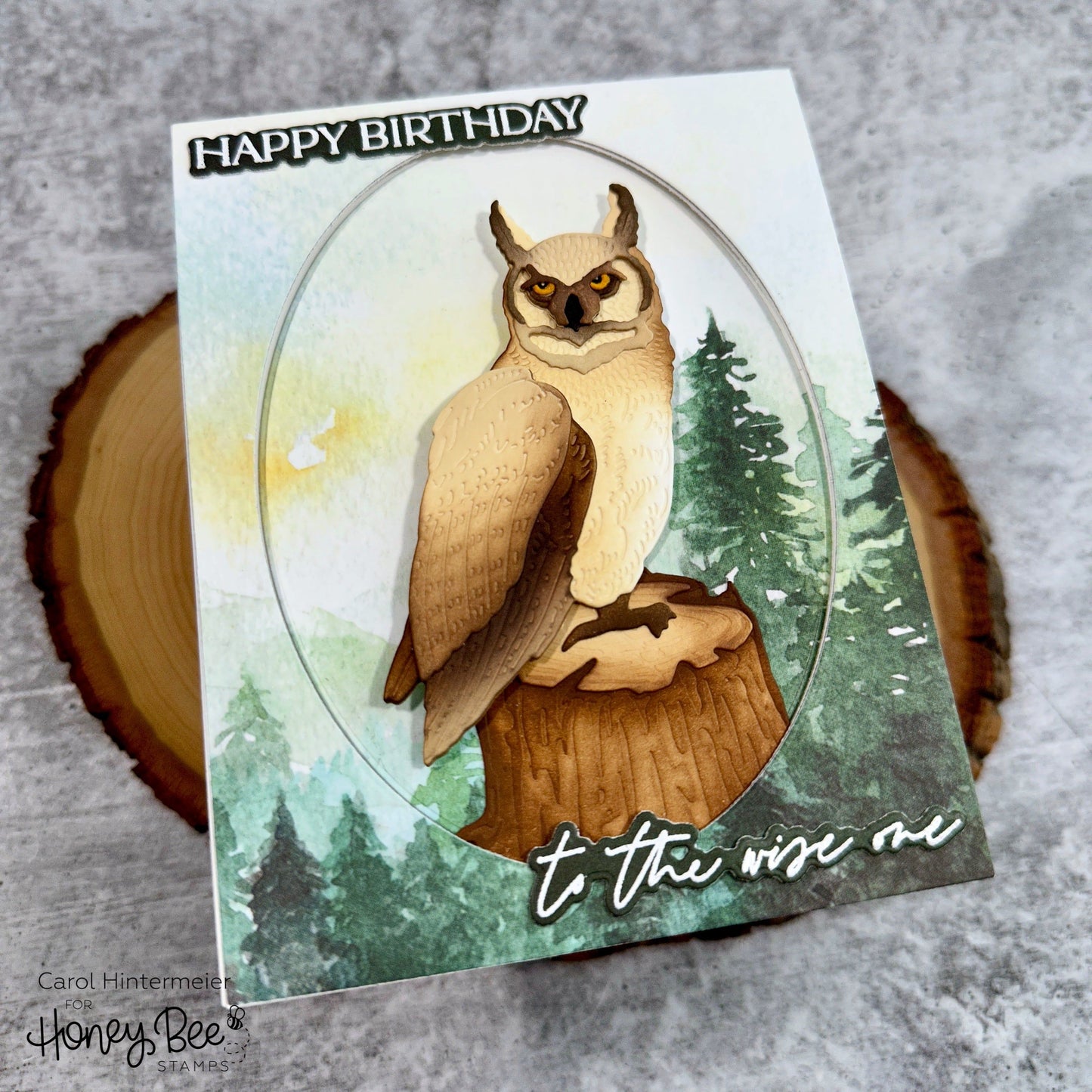 To The Wise One 3x4 Stamp Set - Honey Bee Stamps