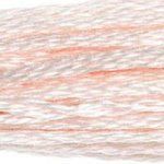DMC Embroidery Floss, 6 - Strand - Baby Pink Light 819 - Honey Bee Stamps