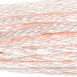 DMC Embroidery Floss, 6-Strand - Baby Pink Light #819 - Honey Bee Stamps