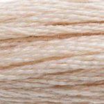 DMC Embroidery Floss, 6 - Strand - Beige Brown Ultra Very Light 543 - Honey Bee Stamps