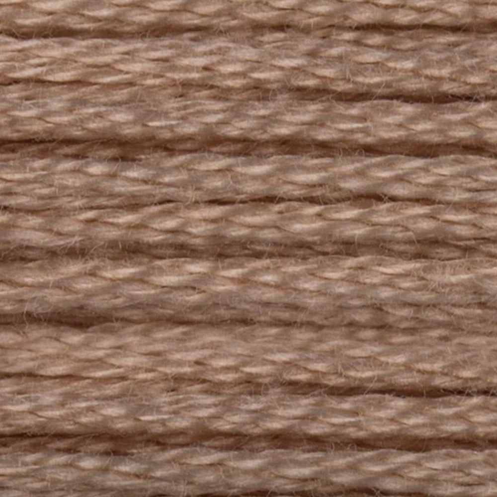 DMC Embroidery Floss, 6-Strand - Beige Brown Very Light #842 - Honey Bee Stamps