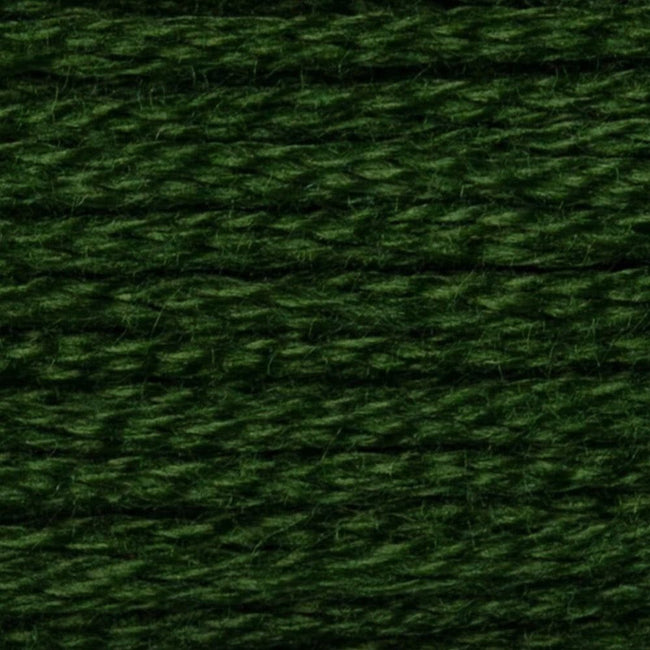 DMC Embroidery Floss, 6-Strand - Hunter Green Dark #3345 - Honey Bee Stamps
