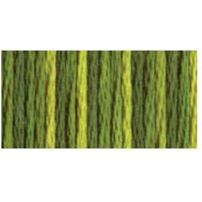 DMC Embroidery Floss, 6-Strand Multi-Color Variations - Amazon Moss - Honey Bee Stamps