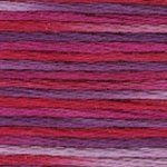 DMC Embroidery Floss, 6 - Strand Multi - Color Variations - Azalea - Honey Bee Stamps