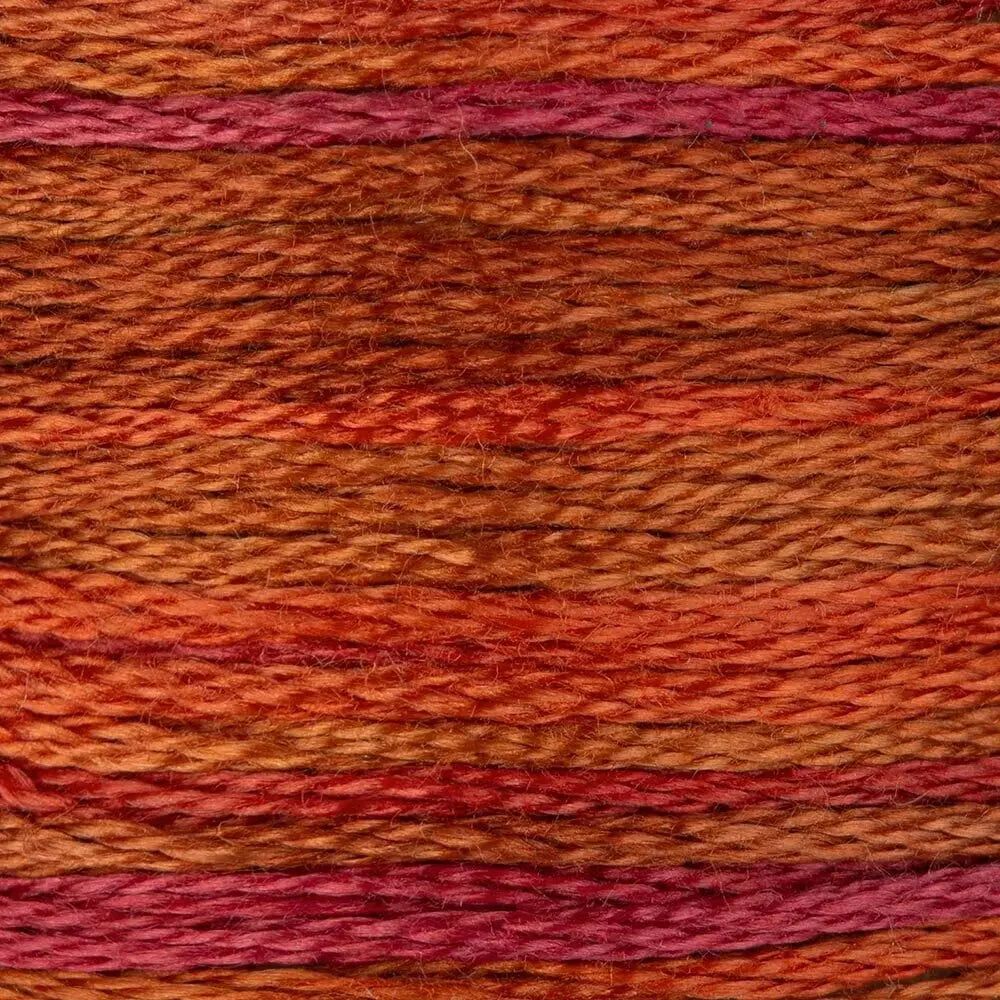 DMC Embroidery Floss, 6 - Strand Multi - Color Variations - Chilean Sunset - Honey Bee Stamps