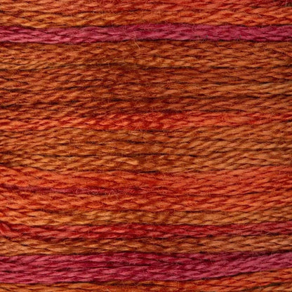 DMC Embroidery Floss, 6 - Strand Multi - Color Variations - Chilean Sunset - Honey Bee Stamps