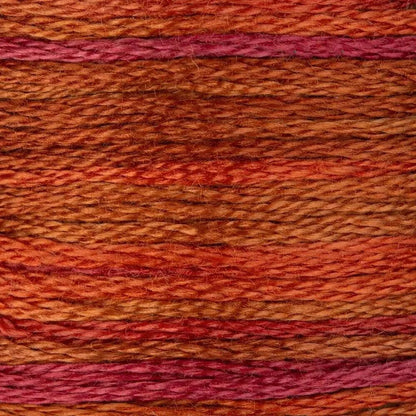 DMC Embroidery Floss, 6-Strand Multi-Color Variations - Chilean Sunset - Honey Bee Stamps