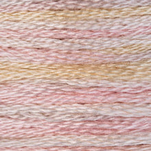 DMC Embroidery Floss, 6-Strand Multi-Color Variations - Desert Sand - Honey Bee Stamps