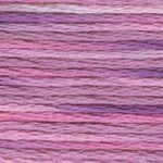 DMC Embroidery Floss, 6 - Strand Multi - Color Variations - Enchanted - Honey Bee Stamps