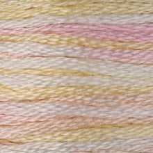 DMC Embroidery Floss, 6-Strand Multi-Color Variations - Glistening Pearls - Honey Bee Stamps