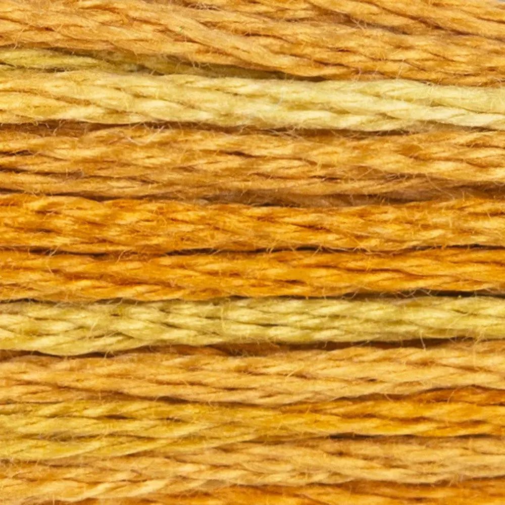 DMC Embroidery Floss, 6 - Strand Multi - Color Variations - Gold Coast - Honey Bee Stamps