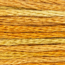 DMC Embroidery Floss, 6-Strand Multi-Color Variations - Gold Coast - Honey Bee Stamps