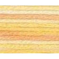 DMC Embroidery Floss, 6 - Strand Multi - Color Variations - Golden Oasis - Honey Bee Stamps