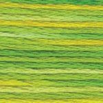 DMC Embroidery Floss, 6 - Strand Multi - Color Variations - Margarita - Honey Bee Stamps