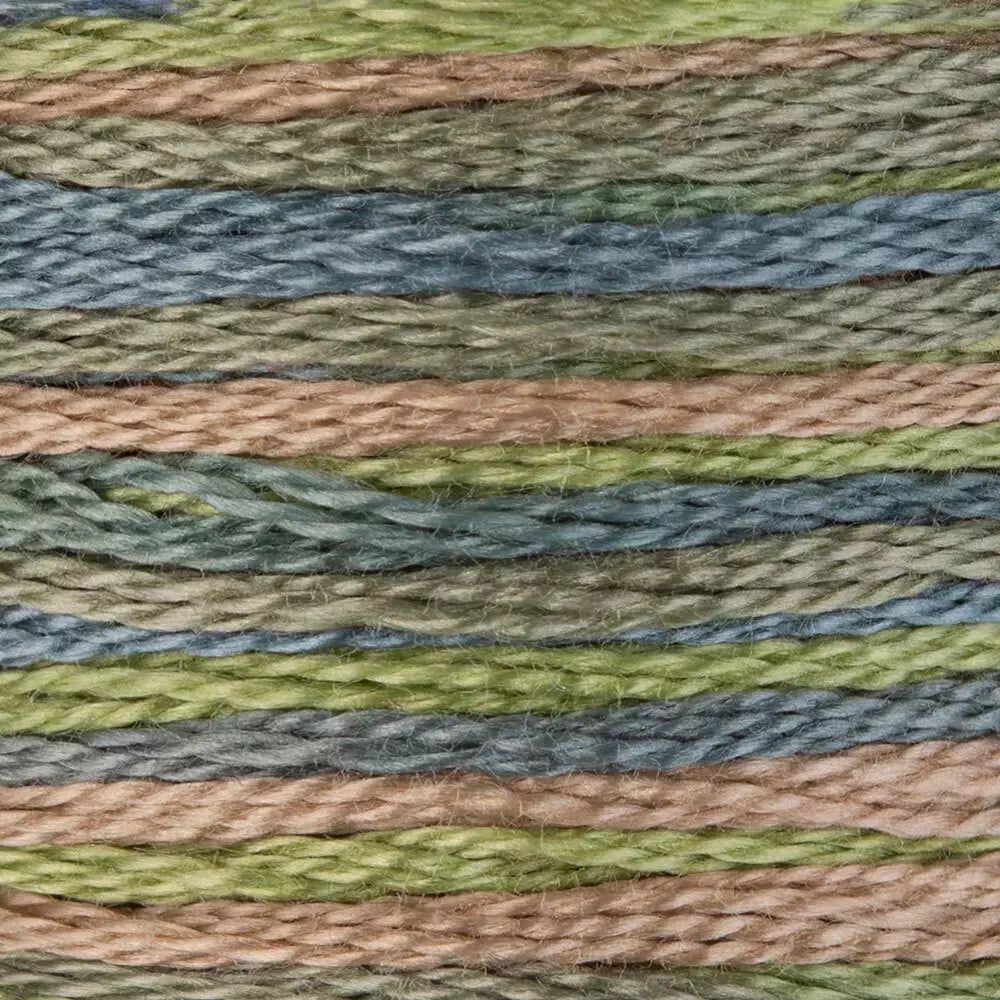DMC Embroidery Floss, 6 - Strand Multi - Color Variations - Morning Meadow - Honey Bee Stamps