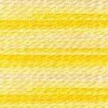 DMC Embroidery Floss, 6 - Strand Multi - Color Variations - Morning Sunshine - Honey Bee Stamps