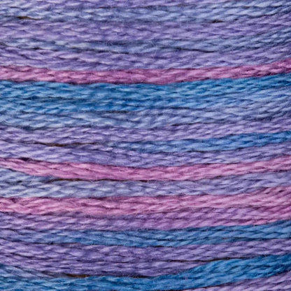 DMC Embroidery Floss, 6 - Strand Multi - Color Variations - Northern Lights - Honey Bee Stamps