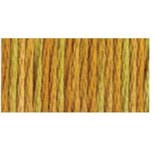 DMC Embroidery Floss, 6-Strand Multi-Color Variations - Peanut Brittle - Honey Bee Stamps