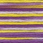 DMC Embroidery Floss, 6 - Strand Multi - Color Variations - Purple Pansy - Honey Bee Stamps