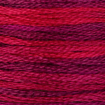 DMC Embroidery Floss, 6 - Strand Multi - Color Variations - Radiant Ruby - Honey Bee Stamps