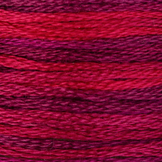 DMC Embroidery Floss, 6 - Strand Multi - Color Variations - Radiant Ruby - Honey Bee Stamps