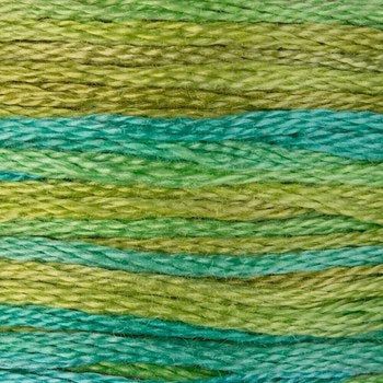 DMC Embroidery Floss, 6 - Strand Multi - Color Variations - Roaming Pastures - Honey Bee Stamps