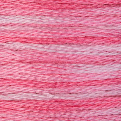 DMC Embroidery Floss, 6 - Strand Multi - Color Variations - Rose Petals - Honey Bee Stamps