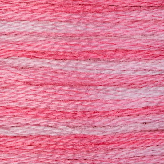 DMC Embroidery Floss, 6 - Strand Multi - Color Variations - Rose Petals - Honey Bee Stamps