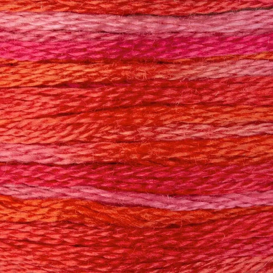 DMC Embroidery Floss, 6 - Strand Multi - Color Variations - Wild Fire - Honey Bee Stamps