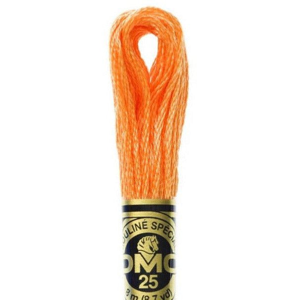 DMC Embroidery Floss, 6-Strand - Orange Spice Light #722 – Honey