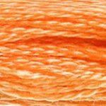 DMC Embroidery Floss, 6-Strand - Orange Spice Light #722 - Honey Bee Stamps