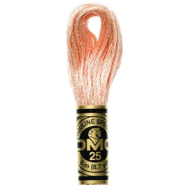 DMC Embroidery Floss, 6 - Strand - Peach Light 754 - Honey Bee Stamps
