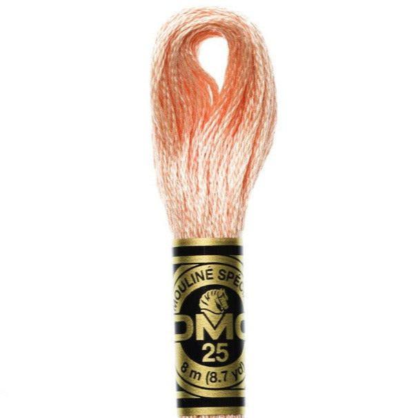 DMC Embroidery Floss, 6-Strand - Peach Light #754 - Honey Bee Stamps