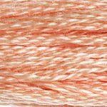 DMC Embroidery Floss, 6-Strand - Peach Light #754 - Honey Bee Stamps