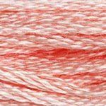 DMC Embroidery Floss, 6-Strand - Salmon Light #761 - Honey Bee Stamps