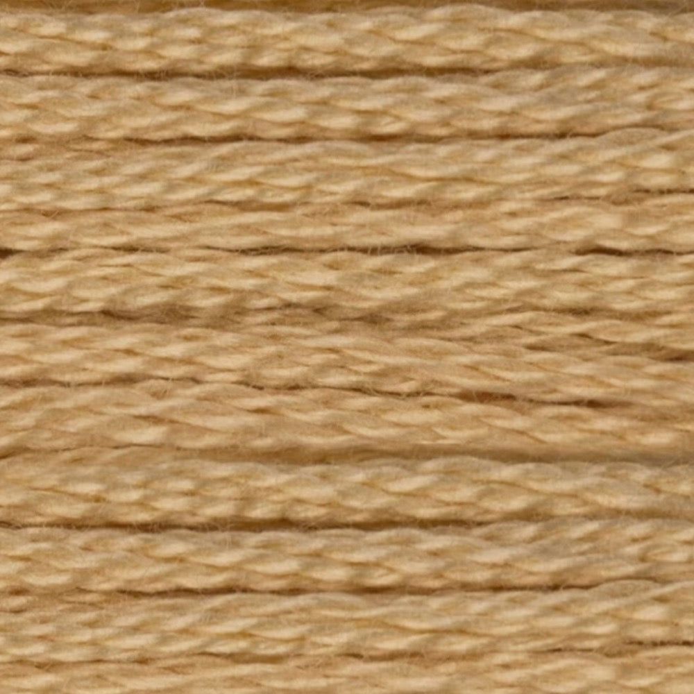 DMC Embroidery Floss, 6 - Strand - Tan Very Light 738 - Honey Bee Stamps
