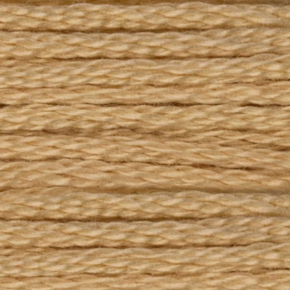 DMC Embroidery Floss, 6-Strand - Tan Very Light #738 - Honey Bee Stamps